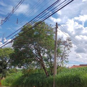 Imagem da notícia ADEQUANDO ARBORIZAÇÃO URBANA: ÁRVORES COM RISCO À FIAÇÃO ELÉTRICA SÃO CORTADAS