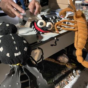 Imagem da notícia AÇÃO EDUCATIVA CHAMA ATENÇÃO PARA COMBATE DO AEDES AEGYPTI E OUTROS VETORES