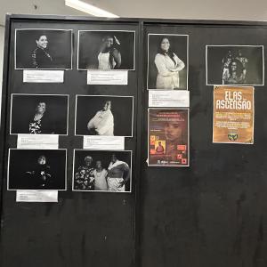 Imagem da notícia JULHO DAS PRETAS: EXPOSIÇÃO CELEBRA DIA DA MULHER NEGRA