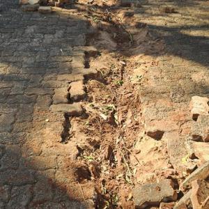 Imagem da notícia  "PRAÇA DA OLARIA" AGORA TEM NOVO CALÇAMENTO!