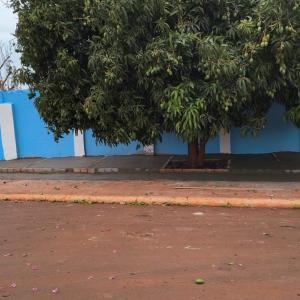 Imagem da notícia CEMITÉRIO DO DISTRITO DE POTUNDUVA RECEBE MELHORIAS