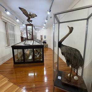 Imagem da notícia PREFEITURA REABRE AS PORTAS DO MUSEU MUNICIPAL