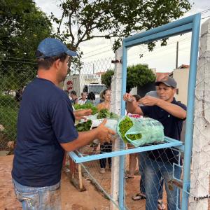 Imagem da notícia TEM MAIS DUAS HORTAS E FUNCIONAMENTO NA CIDADE