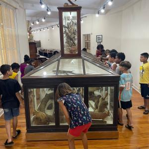 Imagem da notícia CRIANÇAS DO JARDIM MARIA LUIZA IV VISITAM O MUSEU MUNICIPAL