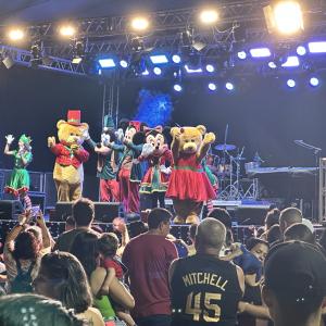 Imagem da notícia PAPAI NOEL DESCE DE TIROLESA NO PARQUE DO RIO JAÚ