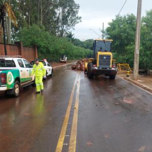 Imagem da notícia VIA DE LIGAÇÃO ENTRE SANTO ANTÔNIO E MARIA LUIZA IV PERMANECE INTERDITADA
