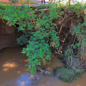 Imagem da notícia PREFEITURA FECHA PARCERIA COM O ESTADO PARA RECUPERAÇÃO DE ÁREAS AFETADAS PELAS CHUVAS