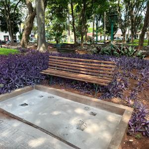Imagem da notícia PREFEITURA SUBSTITUI BANCOS DO JARDIM DE BAIXO