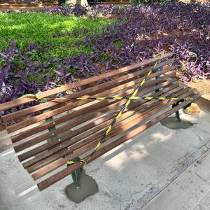 Imagem da notícia PREFEITURA SUBSTITUI BANCOS DO JARDIM DE BAIXO