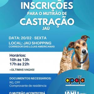 Imagem da notícia INSCRIÇÃO PARA CASTRAÇÃO DE CÃES E GATOS: APROVEITE AS ÚLTIMAS VAGAS!