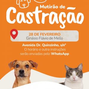 Imagem da notícia MUTIRÃO DE CASTRAÇÃO NESTE SÁBADO (28) É NO GINÁSIO DE ESPORTES DR. FLÁVIO DE MELLO