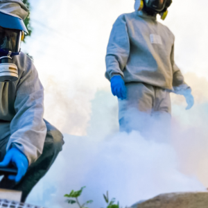 Imagem da notícia PREFEITURA REALIZA DEDETIZAÇÃO EM PRÉDIOS ESCOLARES