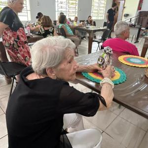 Imagem da notícia COELHINHO SEGUE PASSEANDO POR NOSSA CIDADE!