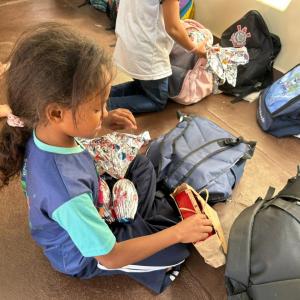 Imagem da notícia COELHINHO SEGUE PASSEANDO POR NOSSA CIDADE!