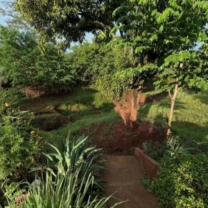 Imagem da notícia PONTOS CRÍTICOS SEGUEM SOB MONITORAMENTO