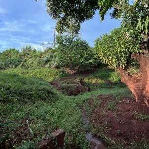 Imagem da notícia PONTOS CRÍTICOS SEGUEM SOB MONITORAMENTO