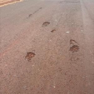 Imagem da notícia NOTA OFICIAL - JARDIM EUROPA