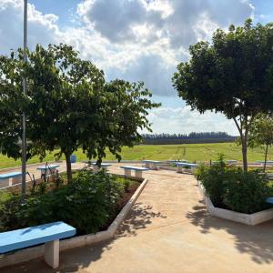 Imagem da notícia CEMITÉRIO "PARQUE DAS FLORES" ESTÁ PRONTO PARA FUNCIONAMENTO