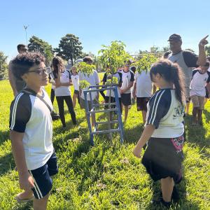 Imagem da notícia SEMANA DA JUVENTUDE EM TORNO DO BAOBÁ COMEÇA COM APRENDIZADO, CULTURA E CONEXÃO COM AS RAÍZES