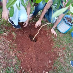 Imagem da notícia PRESERVANDO O SÍMBOLO DE JAHU: ESTUDANTES DA “NORMA BOTELHO” PLANTAM PEROBA-ROSA