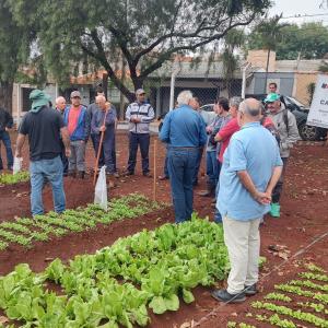 Imagem da notícia 'DIA DE CAMPO' DESTACA OS BENEFÍCIOS DO SISTEMA DE PLANTIO DIRETO DE HORTALIÇAS