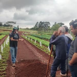 Imagem da notícia 'DIA DE CAMPO' DESTACA OS BENEFÍCIOS DO SISTEMA DE PLANTIO DIRETO DE HORTALIÇAS