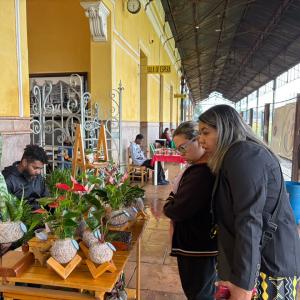 Imagem da notícia FEIRA AFRO CELEBRA O DIA DE TEREZA DE BENGUELA