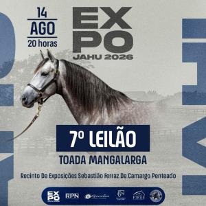 Imagem da notícia A TRADIÇÃO E A ELEGÂNCIA DO MANGALARGA NA EXPOJAHU