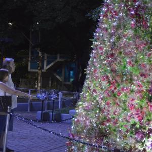 Imagem da notícia Fundo Social de Solidariedade e Secretaria de Cultura e Turismo inauguram Árvore do Projeto “Natal Espetacular” - FOTOS