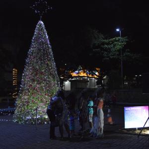 Imagem da notícia Fundo Social de Solidariedade e Secretaria de Cultura e Turismo inauguram Árvore do Projeto “Natal Espetacular” - FOTOS