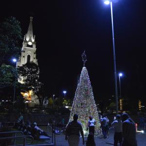 Imagem da notícia Fundo Social de Solidariedade e Secretaria de Cultura e Turismo inauguram Árvore do Projeto “Natal Espetacular” - FOTOS