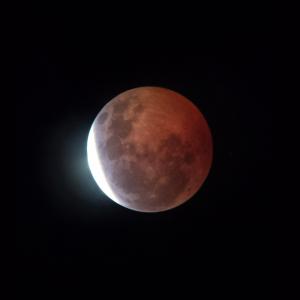Imagem da notícia UMA NOITE DE OLHOS VOLTADOS PARA A LUA