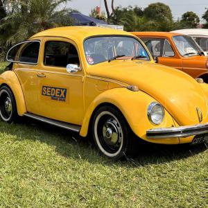 Imagem da notícia FIM DE SEMANA DE CARROS ANTIGOS, MÚSICA E MUITA GENTE NA PRAÇA DO MUSEU