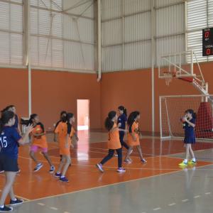 Imagem da notícia 7ª edição dos Jogos da Primavera: disputas de polibol