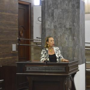 Imagem da notícia Prefeitura participa da discussão sobre o projeto de lei das atividades dos ambulantes