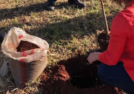 ÁRVORES SÃO PLANTADAS EM MEMÓRIA ÀS VÍTIMAS DE TRÂNSITO  
