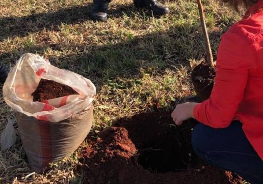 ÁRVORES SÃO PLANTADAS EM MEMÓRIA ÀS VÍTIMAS DE TRÂNSITO  