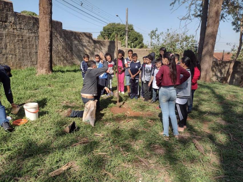 ÁRVORES SÃO PLANTADAS EM ESCOLAS DE POTUNDUVA