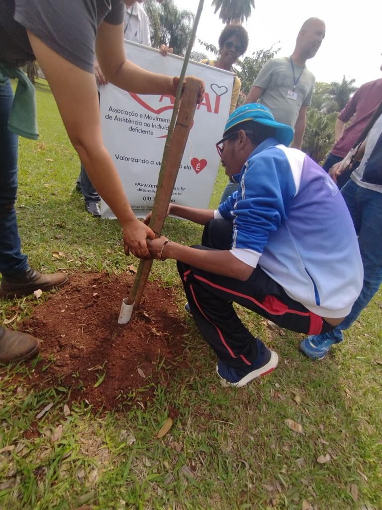 PRAÇA DO MUSEU RECEBE MAIS ÁRVORES E PLANTA ORNAMENTAL