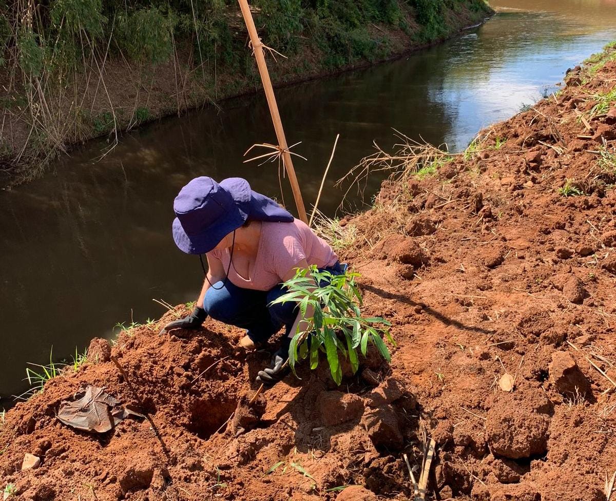 ÁREA NO JOÃO BALLAN II GANHA 120 MUDAS DE ÁRVORES