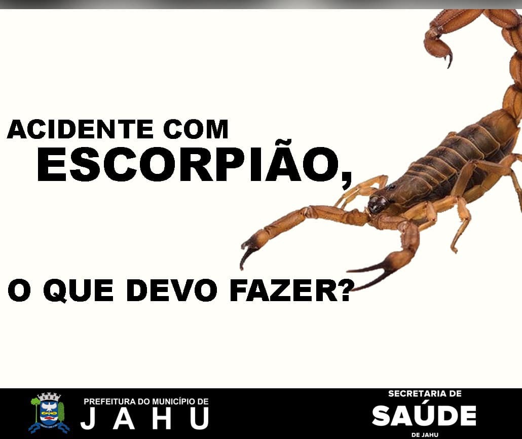 O QUE FAZER APÓS PICADA DE ESCORPIÃO
