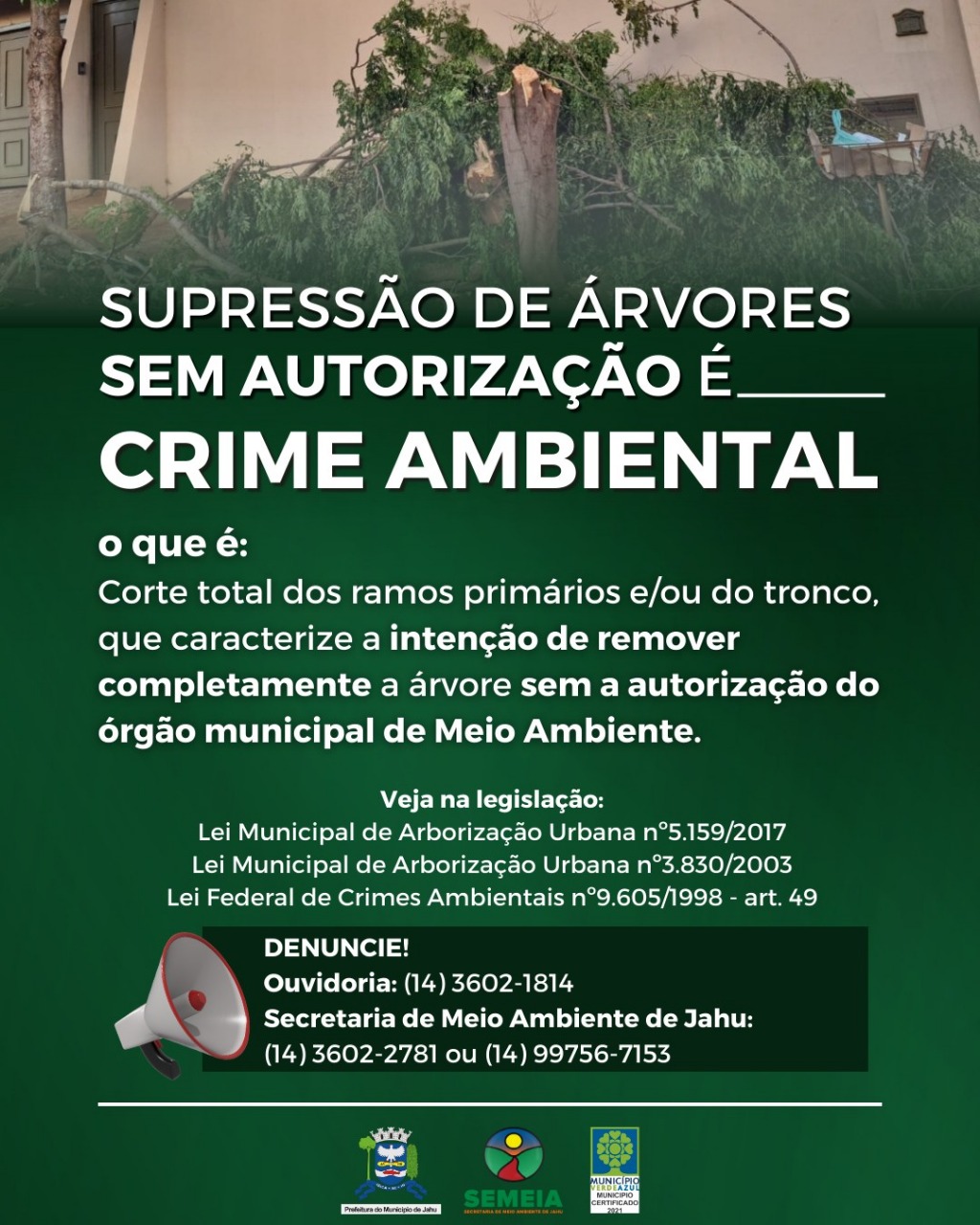 CORTE DE ÁRVORES SEM AUTORIZAÇÃO É CRIME