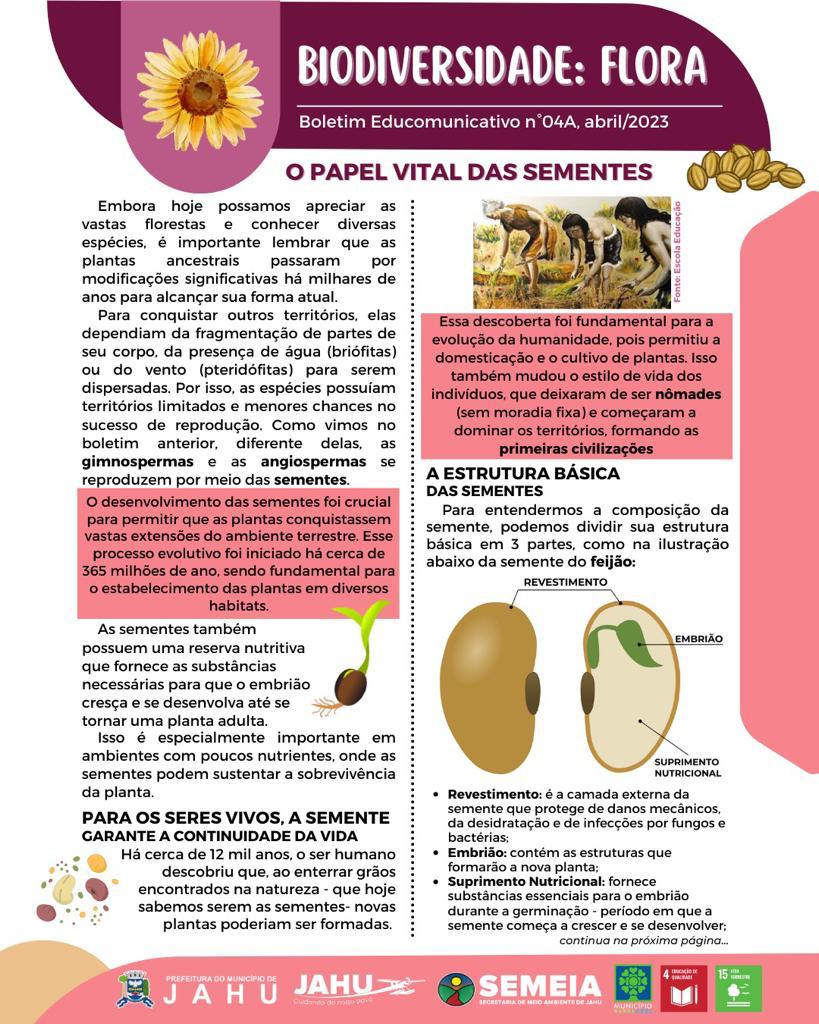 O PAPEL VITAL DAS SEMENTES