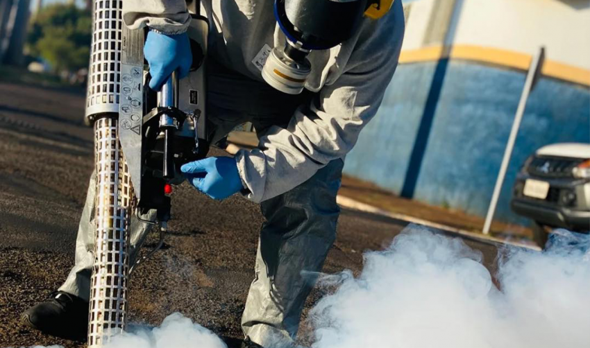 DEDETIZAÇÃO DE GALERIAS:  CRONOGRAMA DESTA SEMANA