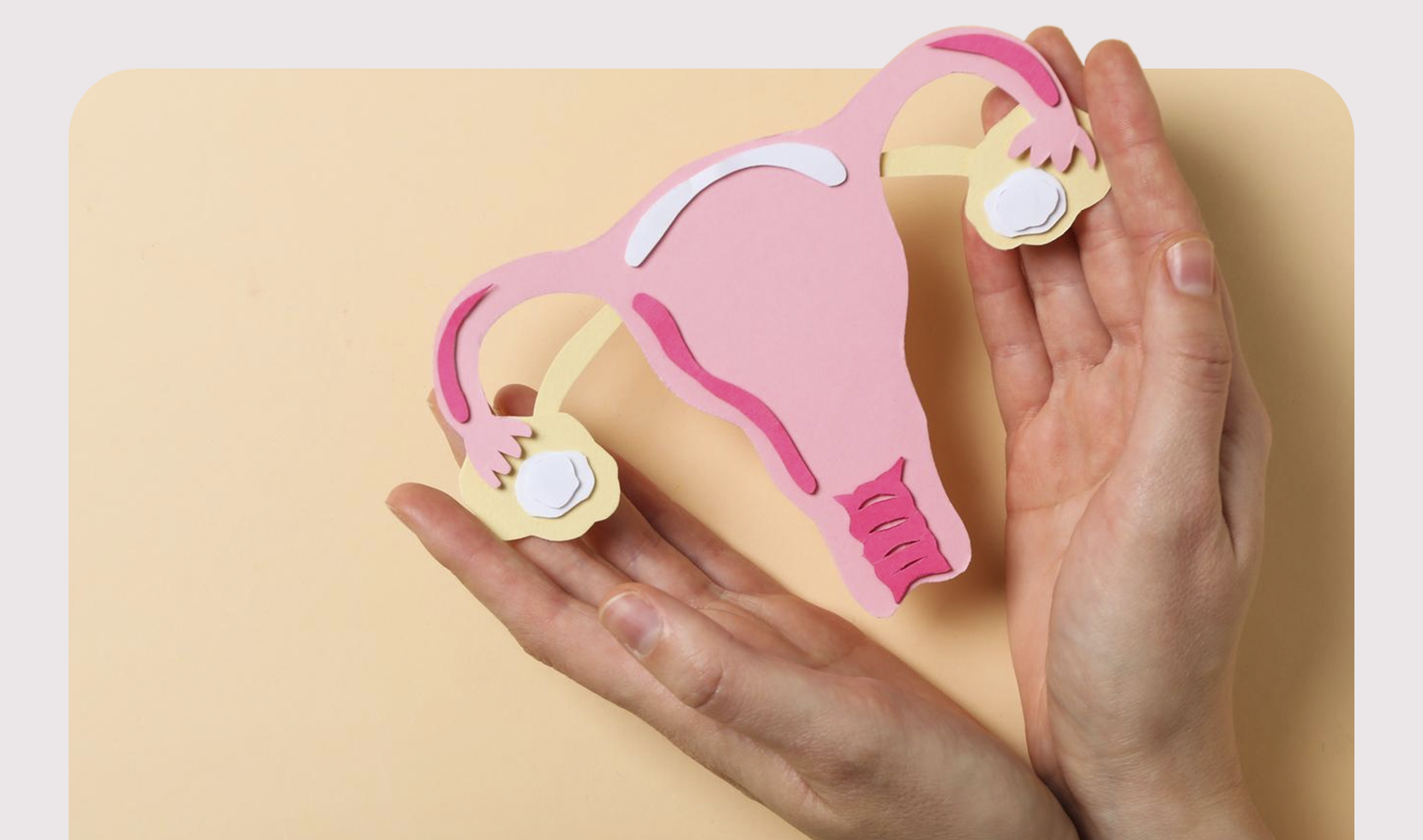 CUIDADO FEMININO EM FOCO NA USF SANTO ONOFRE