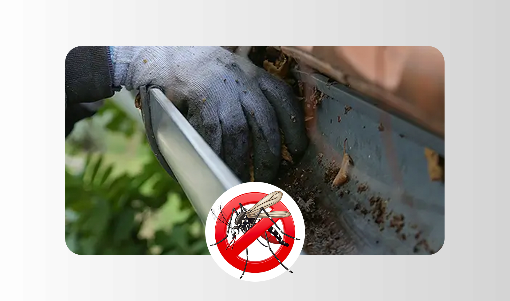 DENGUE NÃO TIRA FOLGA. E A GENTE TAMBÉM NÃO PODE.