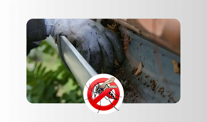 DENGUE NÃO TIRA FOLGA. E A GENTE TAMBÉM NÃO PODE.