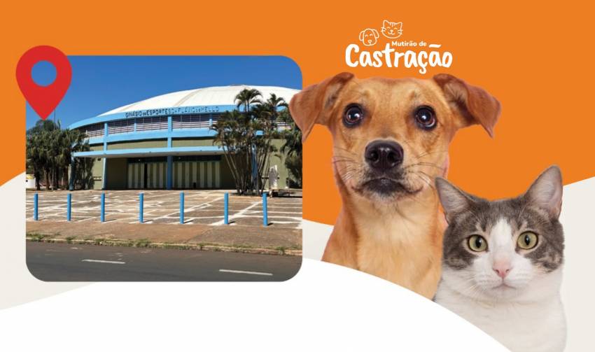 MUTIRÃO DE CASTRAÇÃO ACONTECE NESTE SÁBADO (28)