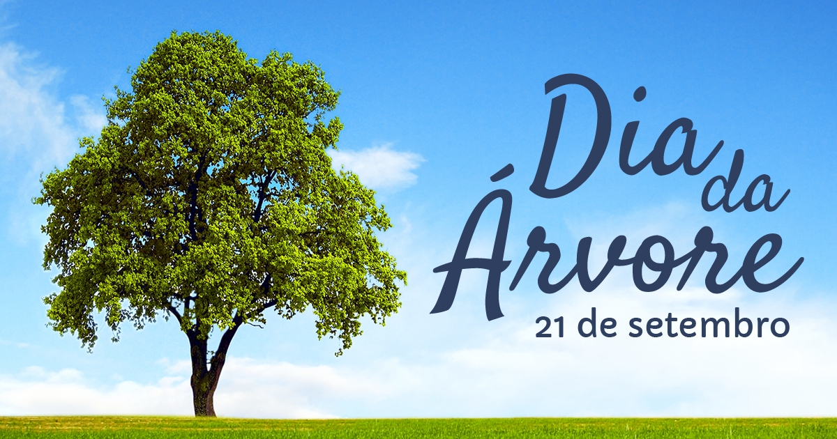Em comemoração ao dia da árvore, alunos plantam mais de 40 mudas de espécies nativas em avenida da cidade