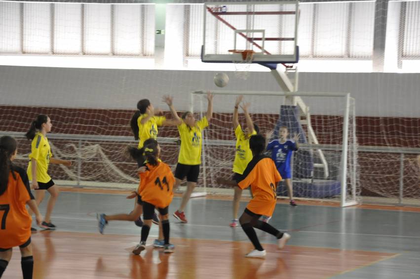 “Jogos da Primavera”: competição de voleibol neste sábado